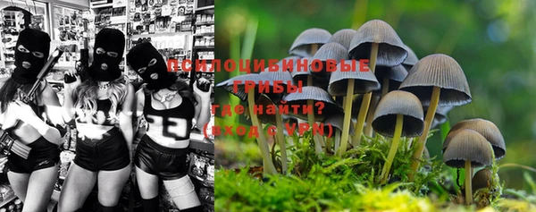 кокаин колумбия Белокуриха